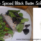 Spicy Chipotle & Salsa Black Beans and Vegan Soft Tacos